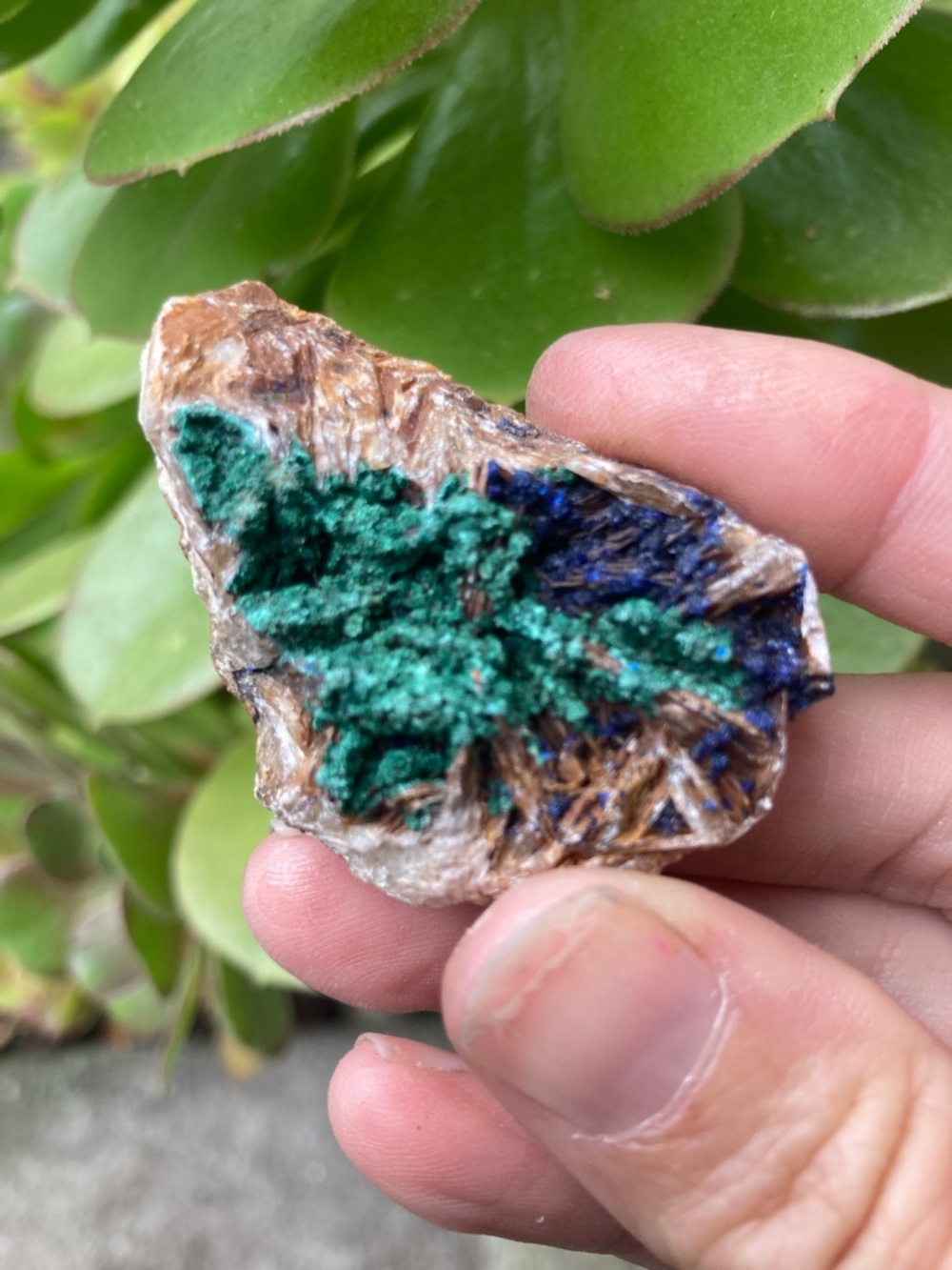 Green and Blue Mineral Specimen - Vibrant Malachite/Azurite Crystals